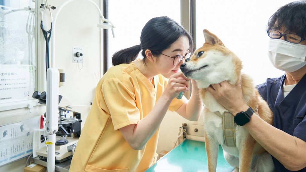 ポータルサイトの利用