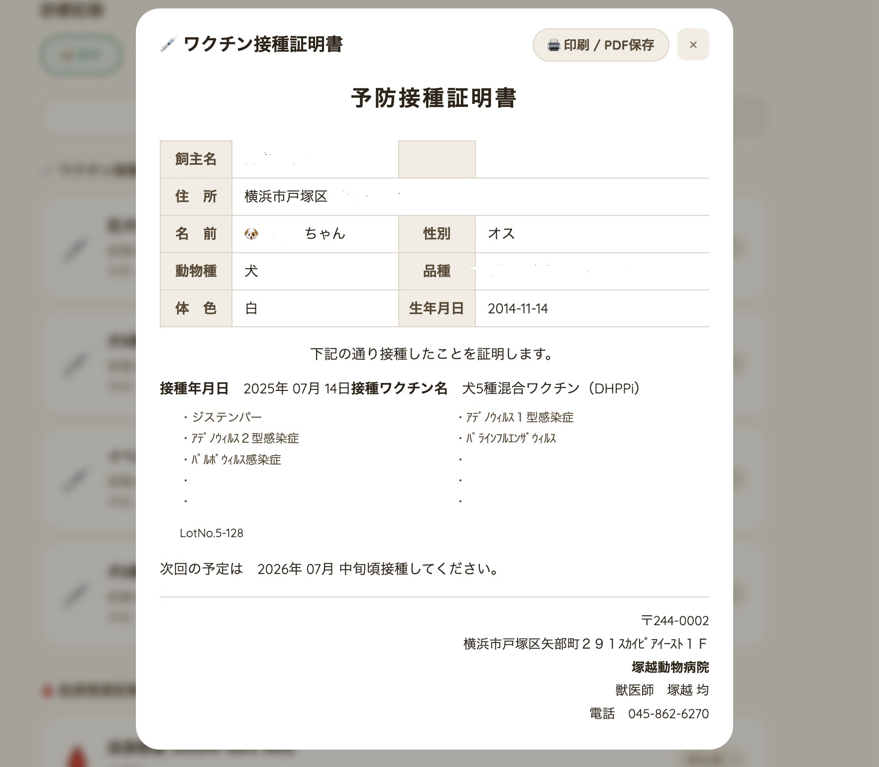 ポータルサイトの利用